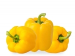 Gelbe Paprika 1000 g